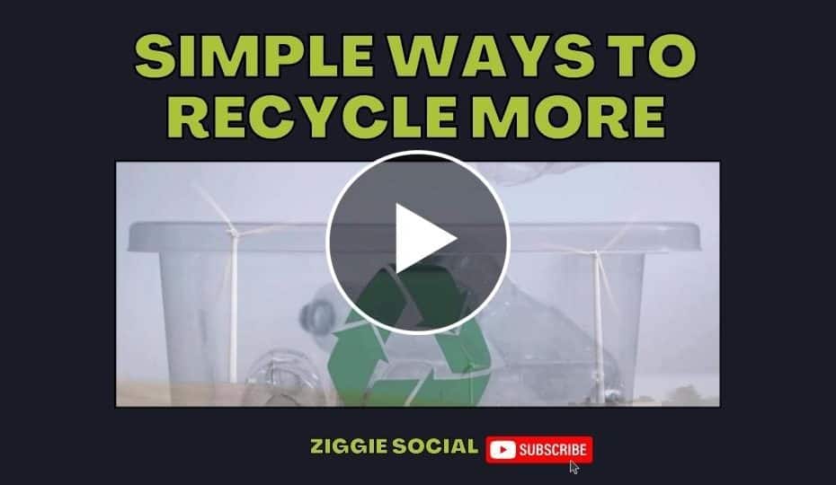 Recycle More