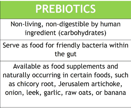 Guardians Of The Gut: Prebiotics, Probiotics, And Gut Health