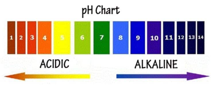 The Importance Of pH In Human Health (talk about alkaline)