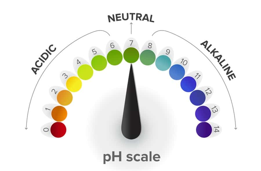 The Importance Of pH In Human Health (talk about alkaline)
