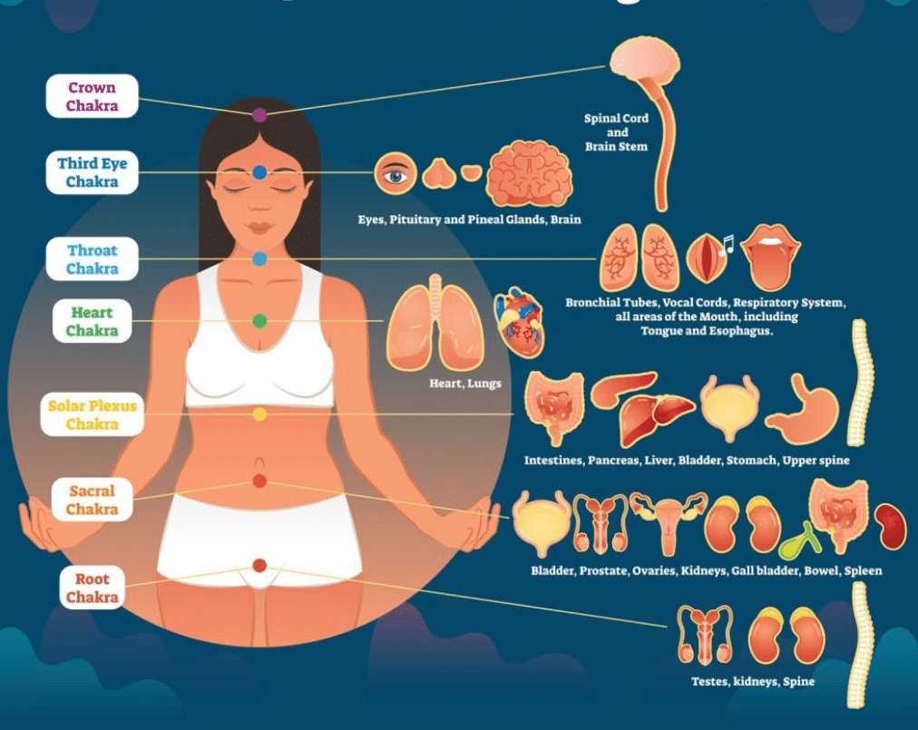 The Energetic Body: Exploring Chakras And Health